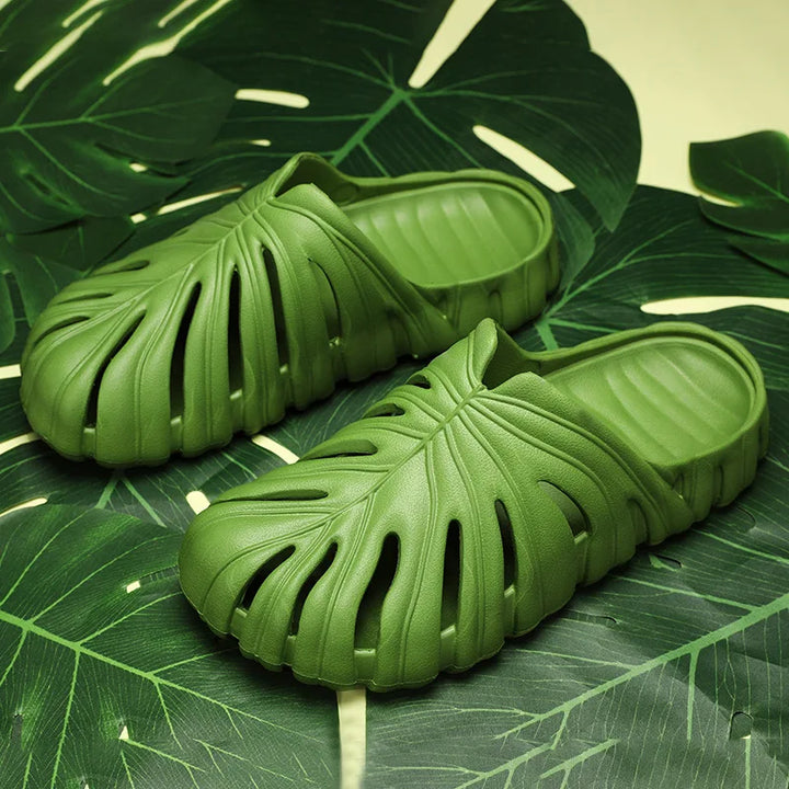 Monstera Slides